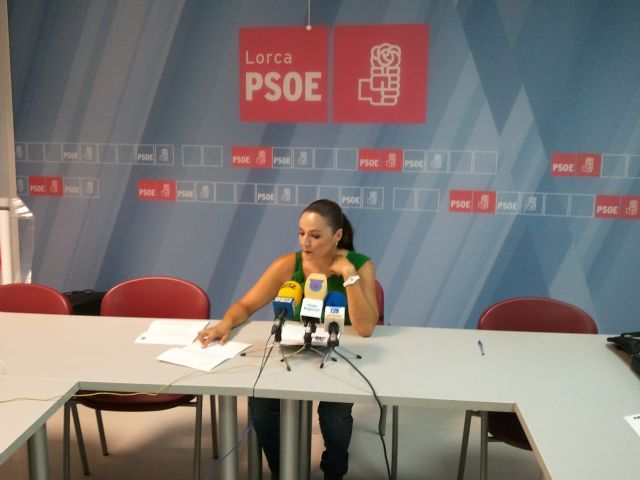 Marisol Sánchez: Mientras que en  el País y en la Región las cifras del paro bajan, la incompetencia del PP en Lorca hacen que el paro en nuestra ciudad sube - 1, Foto 1