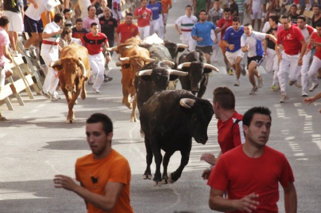Rápido y limpio el primer encierro de las Fiestas de San Zenón de Cehegín - 1, Foto 1