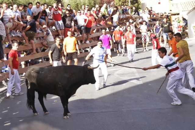 Casi cinco minutos ha durado el segundo encierro de las Fiestas de San Zenón de Cehegín - 1, Foto 1
