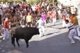 Casi cinco minutos ha durado el segundo encierro de las Fiestas de San Zenón de Cehegín