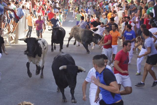 Largo y peligroso el tercer y último encierro de las Fiestas de San Zenón de Cehegín - 2, Foto 2