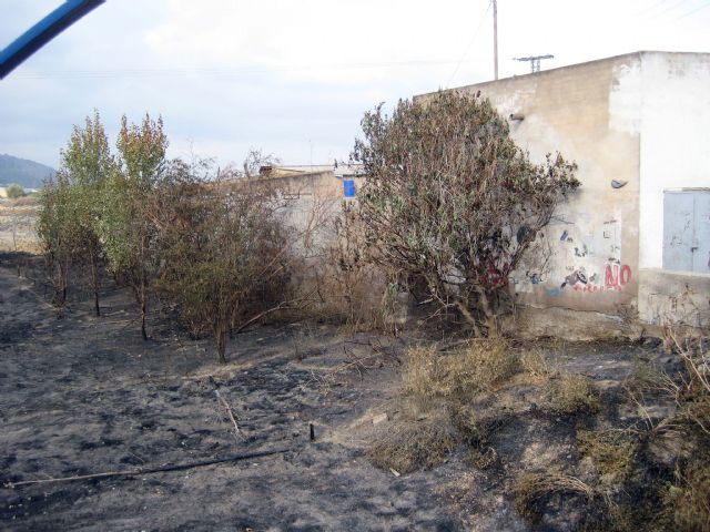 El PSOE pide al Gobierno local que exija a la Confederación Hidrográfica un limpieza de choque de la rambla El Garruchal - 1, Foto 1