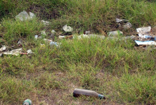 El PSOE pide al Gobierno local que exija a la Confederación Hidrográfica un limpieza de choque de la rambla El Garruchal - 2, Foto 2