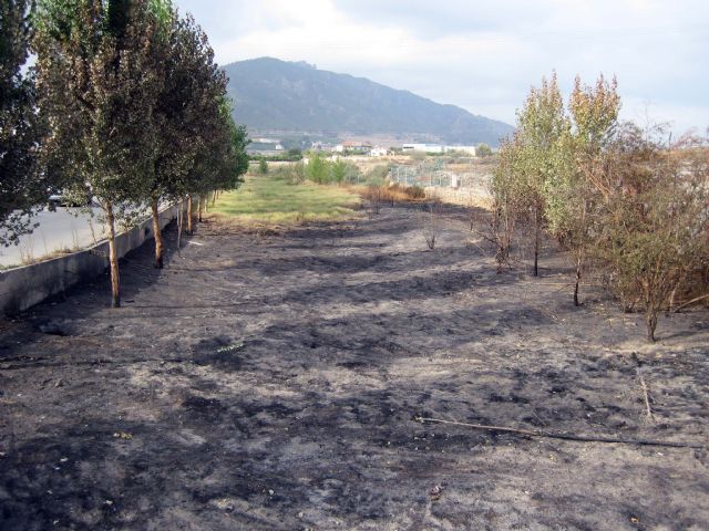 El PSOE pide al Gobierno local que exija a la Confederación Hidrográfica un limpieza de choque de la rambla El Garruchal - 4, Foto 4