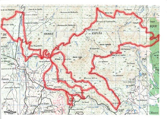 El VI memorial MTB Domingo Pelegrin tendrá lugar el próximo 9 de septiembre, Foto 1