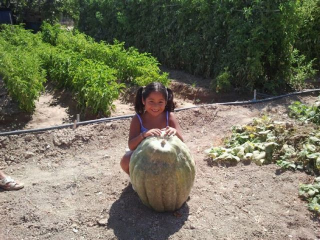 Una Ruperta de 32 kilos en Las Torres de Cotillas - 3, Foto 3