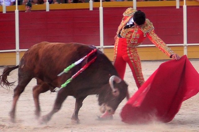 Juan Belda se sobrepone a un mal lote de Jiménez Pasquau - 2, Foto 2