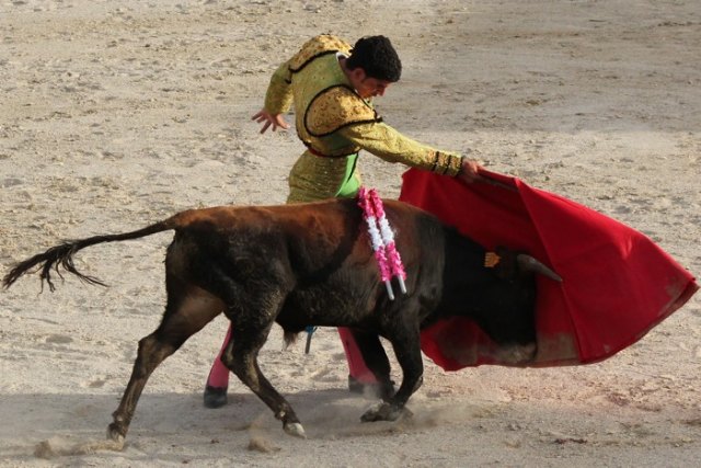 Triunfo de los alumnos de la Escuela de Tauromaquia de la Región de Murcia, Samuel Rodríguez y Fernández de la Torre - 1, Foto 1