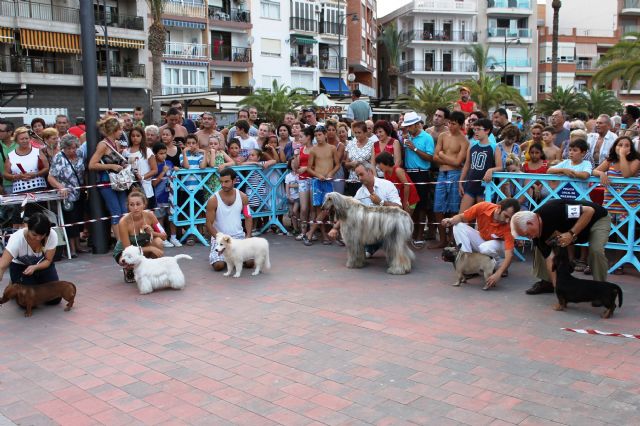 150 perros compiten en el I concurso nacional canino de Mazarrn, Foto 1