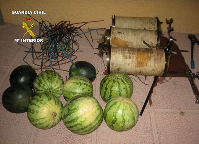 La Guardia Civil sorprende en Totana a tres personas dedicadas a la comisión de robos en explotaciones agrícolas - 2, Foto 2
