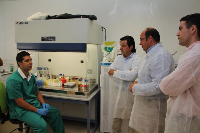 Sánchez (PP): El I+D+i y el conocimiento serán la piedra angular en el desarrollo económico de la Región - 3, Foto 3