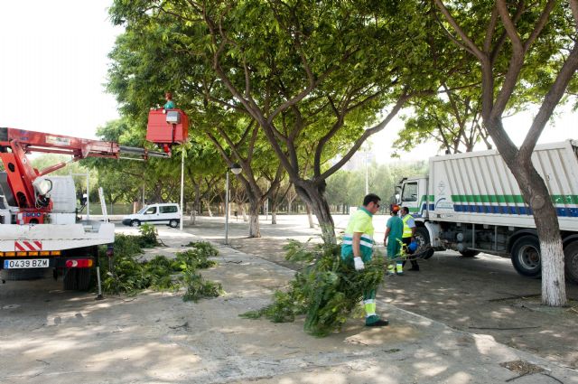 El Ayuntamiento pone a punto el recinto festero de Carthagineses y Romanos - 5, Foto 5