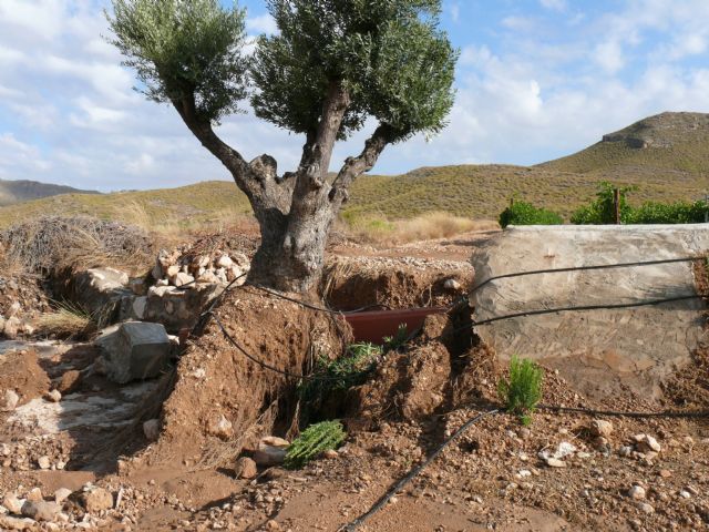 Ya se puede circular por la Carretera del Carche - 3, Foto 3