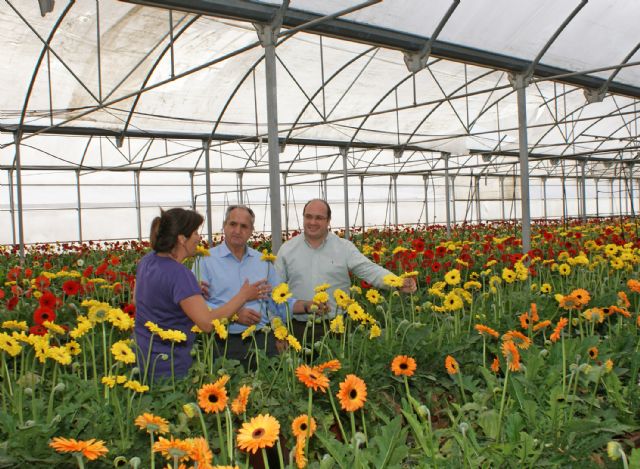 El Ayuntamiento solicita adhesión al Proyecto Agrotur con el que se impulsará la creación de empresas verdes en el sector de la agricultura ecológica - 1, Foto 1