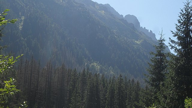 Cronica del viaje a Polonia, organizado por el Club Senderista de Totana (REPORTAJE) - 5