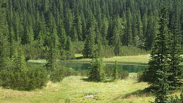 Cronica del viaje a Polonia, organizado por el Club Senderista de Totana (REPORTAJE) - 7