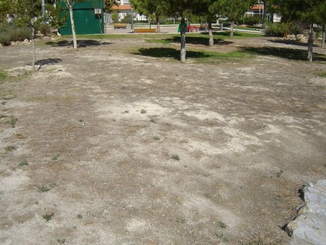 Denuncian el mal estado del entorno del Parque García Esteller, así como de las calles aledañas y del conjunto arqueológico de los Molinos - 3, Foto 3