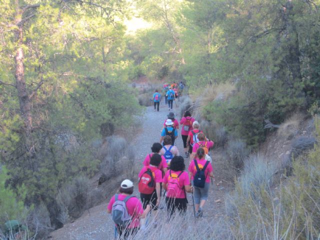 La asociación senderista Los Peregrinos torreña comienza su nueva temporada - 3, Foto 3