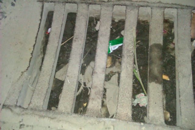 UxA reprocha que los imbornales y alcantarillas están atascados por la suciedad - 1, Foto 1