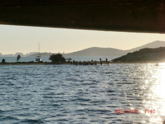 El totanero Jose Miguel Cano particip en la 9ª edicin de la Travesa del Mar Menor 