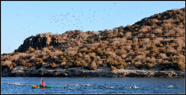 El totanero Jose Miguel Cano particip en la 9ª edicin de la Travesa del Mar Menor 