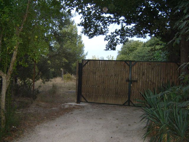 Denuncian el abandono del vivero municipal de las Fuentes del Marqués - 2, Foto 2