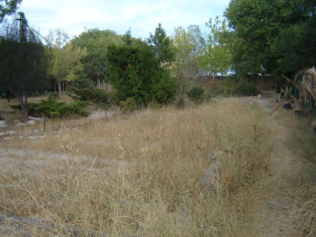 Denuncian el abandono del vivero municipal de las Fuentes del Marqués - 4, Foto 4
