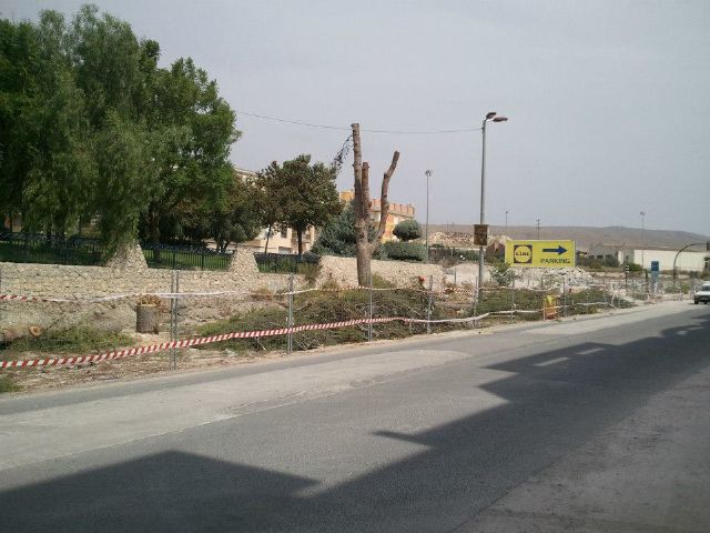 El PSOE exige explicaciones por la tala de árboles de la Avda Jimenez Castellanos - 1, Foto 1