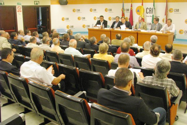 Los usuarios de la CHS aprueban por unanimidad la candidatura que les representa en el Consejo del Agua de la demarcación hidrográfica del Segura - 1, Foto 1