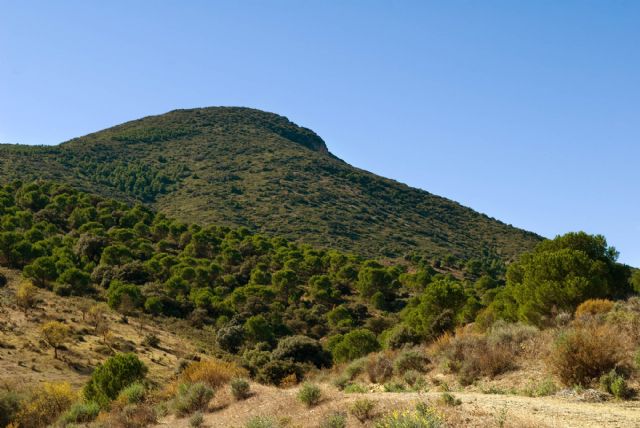El Ayuntamiento de Puerto Lumbreras solicita a la CARM colaboración para elaborar un Plan de Adecuación y Mejora de los Montes Públicos - 1, Foto 1