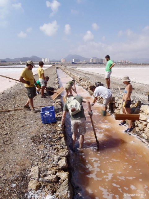 Voluntarios recuperan métodos tradicionales en una cosecha simbólica de sal para salvaguardar el patrimonio natural de las Salinas de Marchamalo - 1, Foto 1