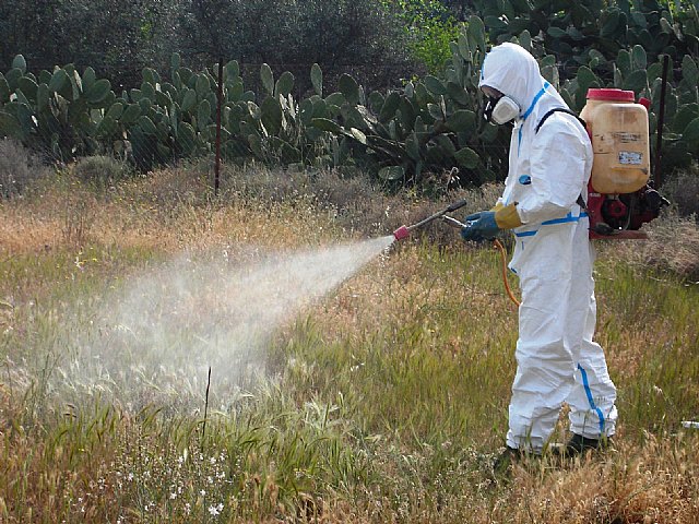 La agricultura de la Región cumple ampliamente los límites máximos de residuos que establece la Unión Europea - 1, Foto 1