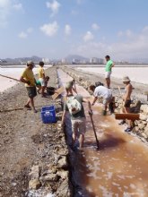 Voluntarios recuperan mtodos tradicionales en una cosecha simblica de sal para salvaguardar el patrimonio natural de las Salinas de Marchamalo