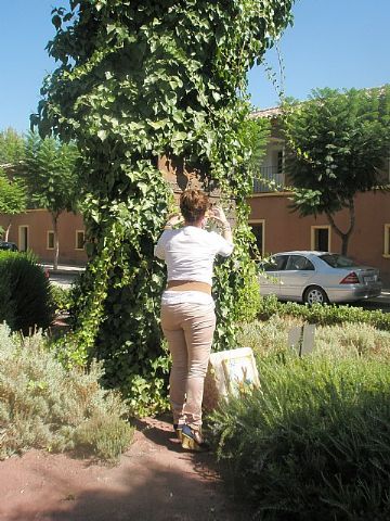 Finalizan las actividades del VIII Encuentro Solidario de Amigos y Enfermos de Alzheimer con la convivencia y homenaje - 4