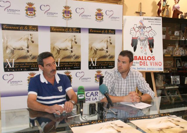 Caravaca reúne a muchas de las mejores yeguadas del país en el XI Concurso Morfológico de Pura Raza - 1, Foto 1