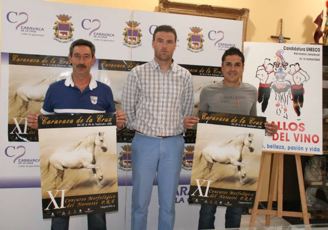 Caravaca reúne a muchas de las mejores yeguadas del país en el XI Concurso Morfológico de Pura Raza - 2, Foto 2