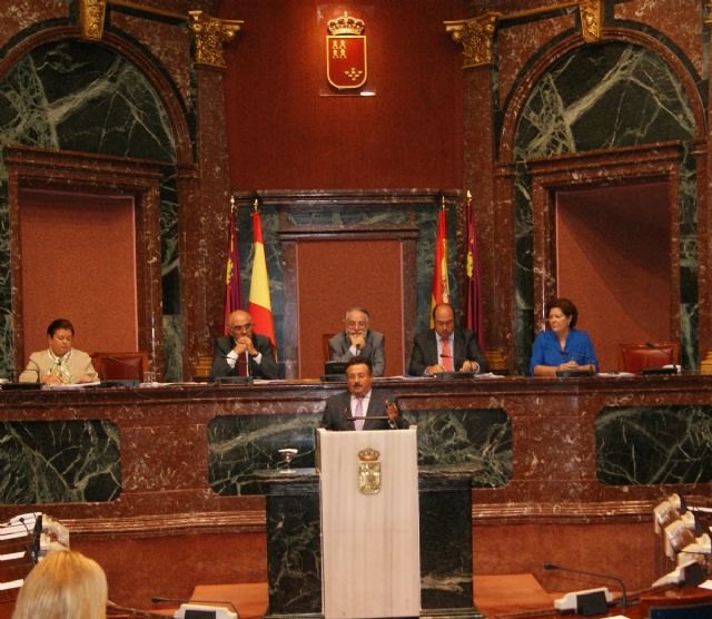 El PSOE pide en la Asamblea la eliminación del tipo impositivo de IVA general del 21% en flores y plantas ornamentales, Foto 1