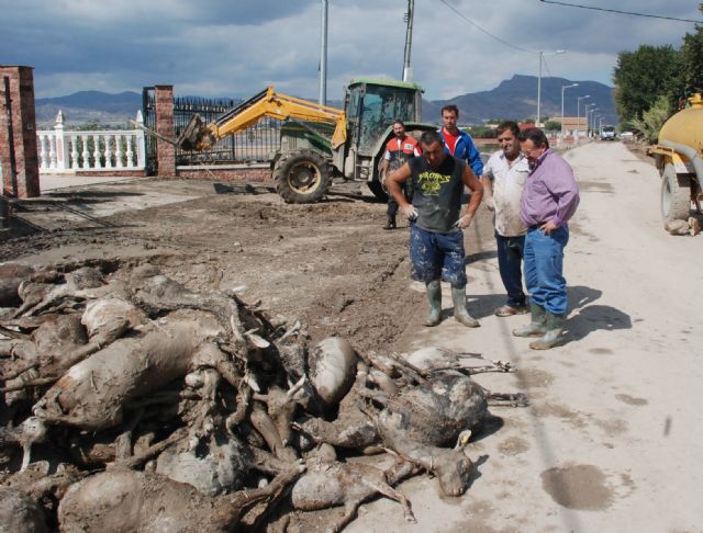 El PSOE alerta de la situación catastrófica en la que se hallan algunas pedanías lorquinas - 1, Foto 1