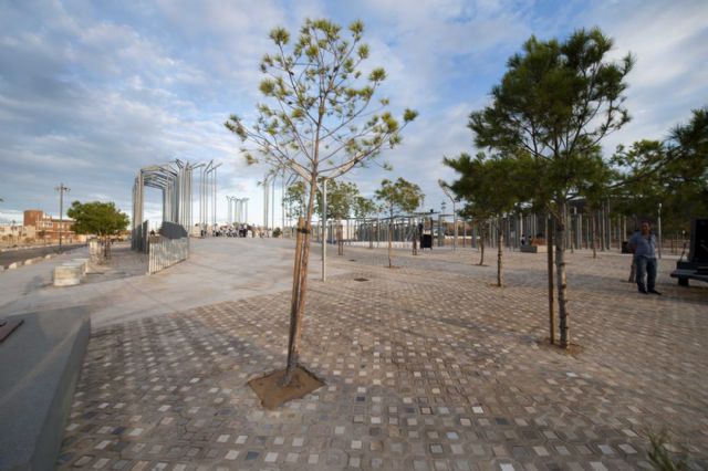 El párroco de El Algar ya tiene una plaza con su nombre - 5, Foto 5