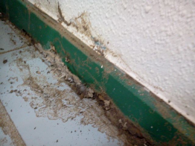 El Grupo Municipal Socialista exige a la Alcaldesa que ofrezca a la oposición dependencias dignas para desarrollar su labor, Foto 1