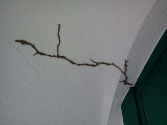 El Grupo Municipal Socialista exige a la Alcaldesa que ofrezca a la oposición dependencias dignas para desarrollar su labor, Foto 2