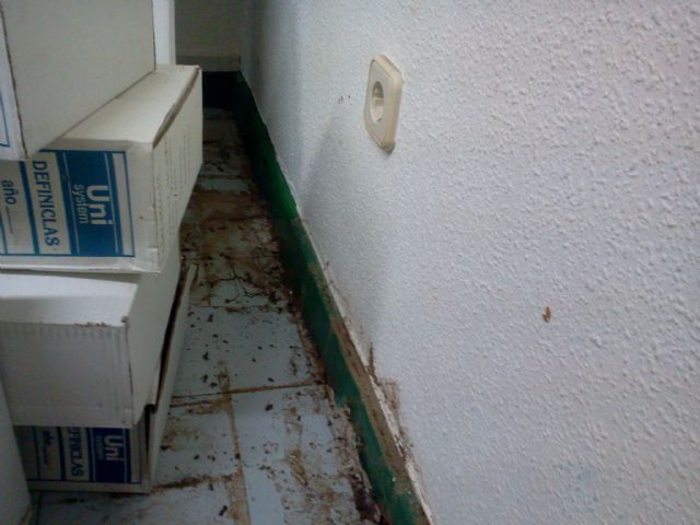 El Grupo Municipal Socialista exige a la Alcaldesa que ofrezca a la oposición dependencias dignas para desarrollar su labor, Foto 5