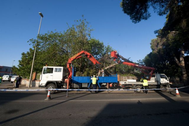 Infraestructuras pone a punto caminos tras las fuertes lluvias del viernes - 4, Foto 4