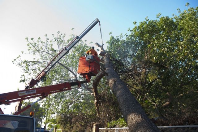 Infraestructuras pone a punto caminos tras las fuertes lluvias del viernes - 5, Foto 5