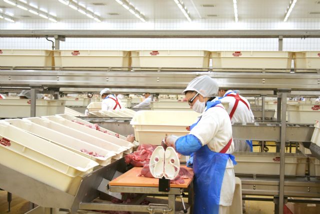 ELPOZO ALIMENTACIN inicia su segundo curso de formacin de desempleados como operarios crnicos, Foto 1