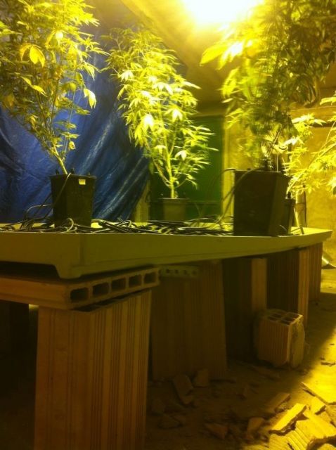 La Policía Local de Alguazas detiene a tres personas por intento de robo con butrón en un domicilio - 2, Foto 2