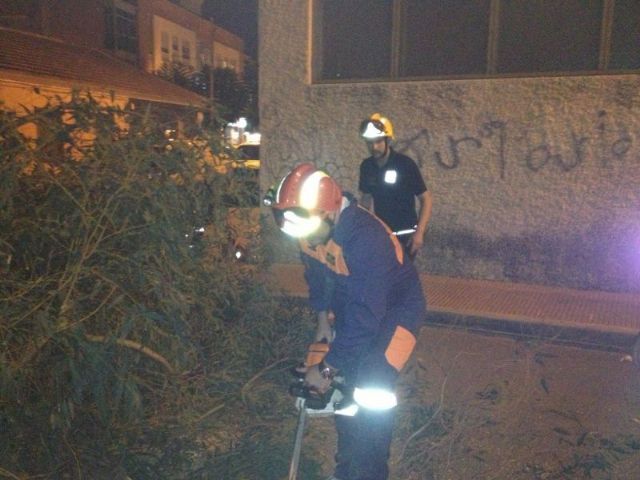 Protección Civil retira un árbol del CEIP Santiago - 4, Foto 4