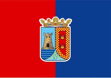 La Bandera de Torre-Pacheco cumple 25 años - 1, Foto 1