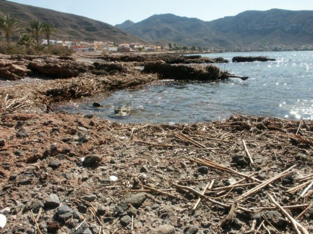 Las consecuencias de la lluvia alcanzan las playas de Isla Plana y La Azohía - 3, Foto 3