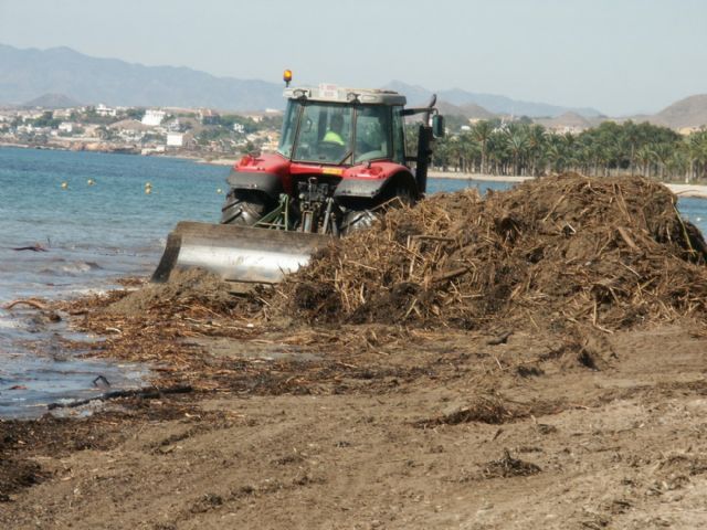 Las consecuencias de la lluvia alcanzan las playas de Isla Plana y La Azohía - 4, Foto 4